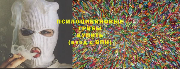 амф Тавда