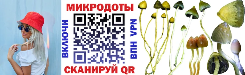 Галлюциногенные грибы мухоморы Мариинск