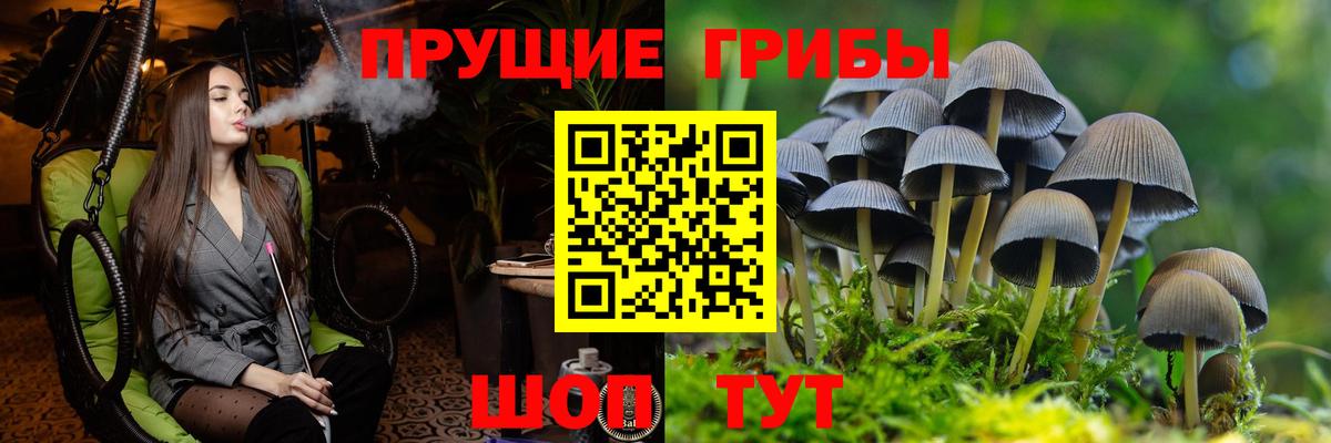 Мариинск  Галлюциногенные грибы Psilocybine cubensis  Псилоцибиновые грибы MAGIC MUSHROOMS  Вход с VPN 